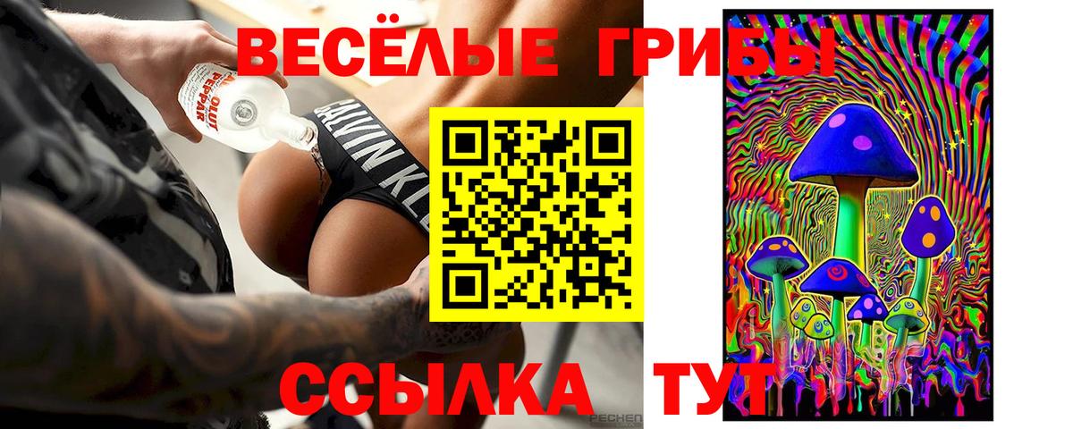 Псилоцибиновые грибы Psilocybe Бузулук